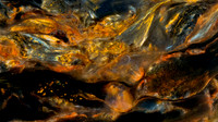 Stone Spirit