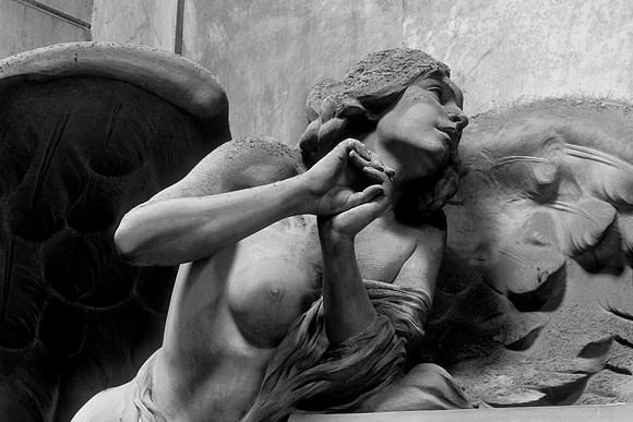 Flesh & Stone