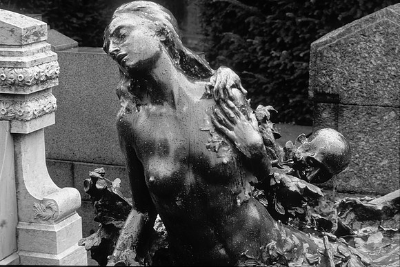 Fine Art Photography - Flesh & Stone