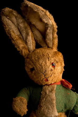 Rabbit #1
