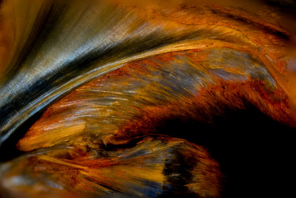 Stone Spirit #166
