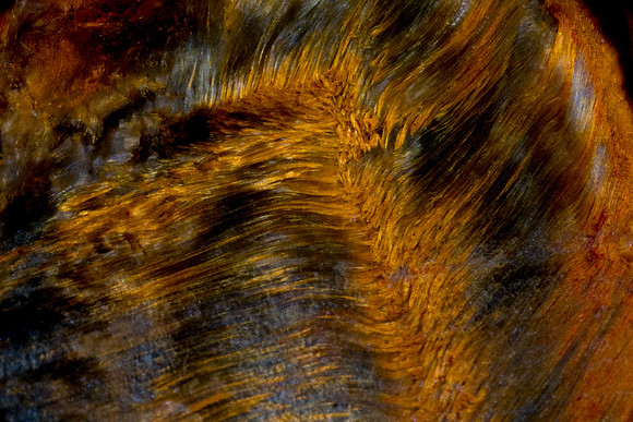 Stone Spirit #163