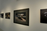 Flying Ladies Exhibit Miami Design Preservation League