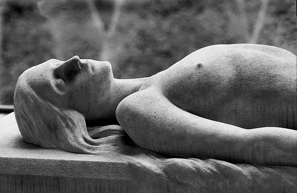 Flesh & Stone