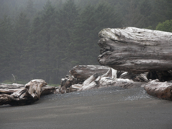 Olympic National Park