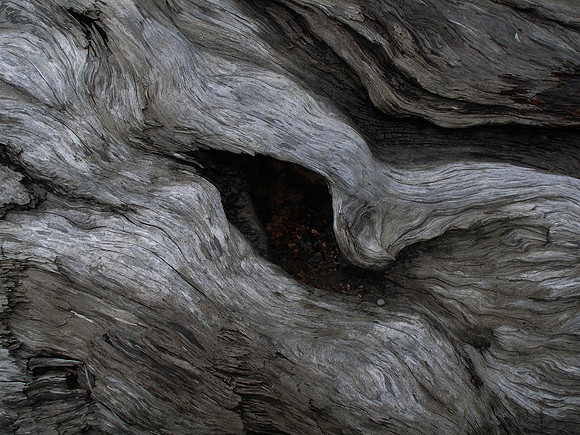 Olympic National Park