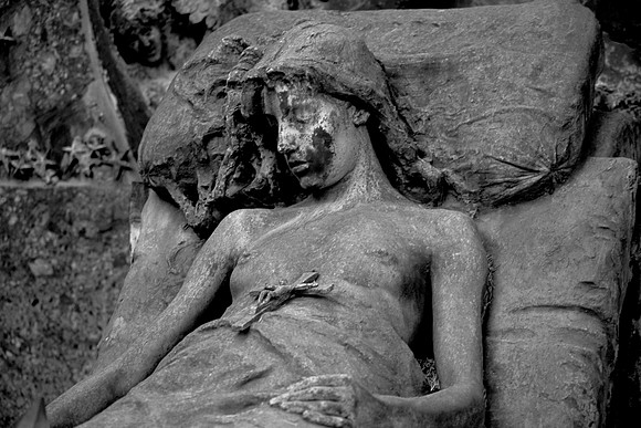 Flesh & Stone