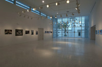 Flying Ladies Exhibit Miami Design Preservation League